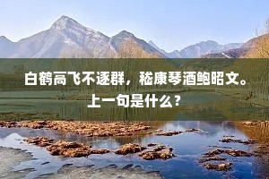 白鹤高飞不逐群，嵇康琴酒鲍昭文。上一句是什么？