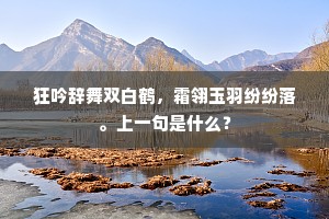 狂吟辞舞双白鹤，霜翎玉羽纷纷落。上一句是什么？