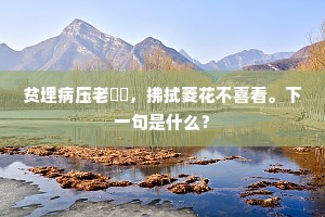 贫埋病压老巑岏，拂拭菱花不喜看。下一句是什么？