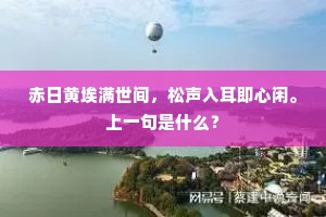 赤日黄埃满世间，松声入耳即心闲。上一句是什么？