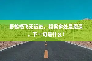 野鹤栖飞无远近，稻粱多处是恩深。下一句是什么？