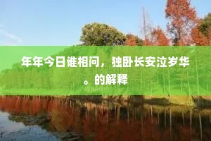 年年今日谁相问，独卧长安泣岁华。的解释