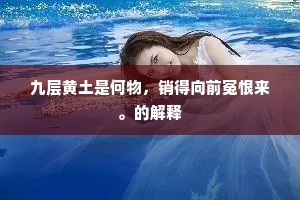 九层黄土是何物，销得向前冤恨来。的解释