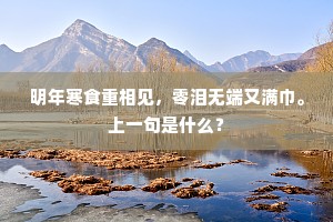 明年寒食重相见，零泪无端又满巾。上一句是什么？