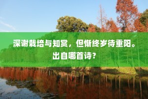 深谢栽培与知赏，但惭终岁待重阳。出自哪首诗？