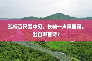 孤标百尺雪中见，长啸一声风里闻。出自哪首诗？