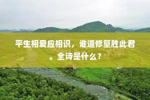 平生相爱应相识，谁道修篁胜此君。全诗是什么？
