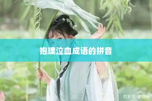 抱璞泣血成语的拼音