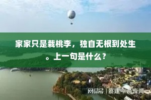 家家只是栽桃李，独自无根到处生。上一句是什么？
