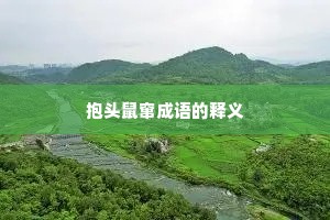 抱头鼠窜成语的释义