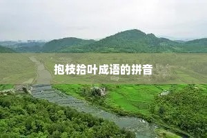 抱枝拾叶成语的拼音