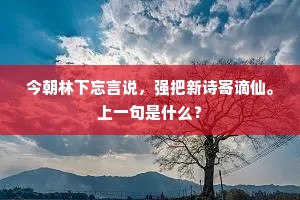 今朝林下忘言说，强把新诗寄谪仙。上一句是什么？