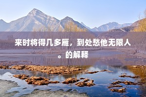 来时将得几多雁，到处愁他无限人。的解释