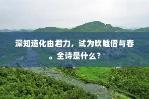 深知造化由君力，试为吹嘘借与春。全诗是什么？