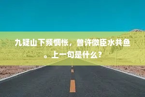九疑山下频惆怅，曾许微臣水共鱼。上一句是什么？