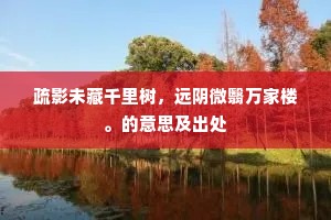 疏影未藏千里树，远阴微翳万家楼。的意思及出处