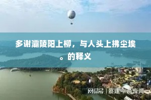 多谢灞陵阳上柳，与人头上拂尘埃。的释义