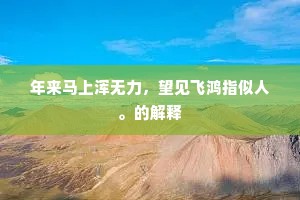 年来马上浑无力，望见飞鸿指似人。的解释