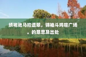 绣袍驰马拾遗翠，锦袖斗鸡喧广场。的意思及出处