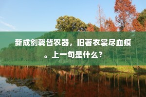 新成剑戟皆农器，旧著衣裳尽血痕。上一句是什么？