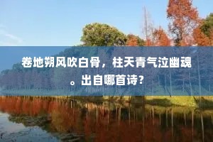 卷地朔风吹白骨，柱天青气泣幽魂。出自哪首诗？