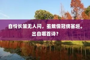 自怜长策无人问，羞戴儒冠傍塞垣。出自哪首诗？