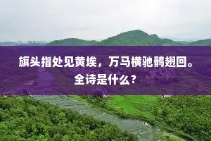 旗头指处见黄埃，万马横驰鹘翅回。全诗是什么？
