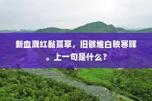 新血溅红黏蔓草，旧骸堆白映寒晖。上一句是什么？