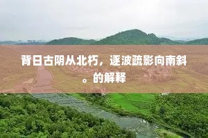 背日古阴从北朽，逐波疏影向南斜。的解释
