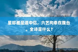 星郎雅是道中侣，六艺拘牵在隗台。全诗是什么？