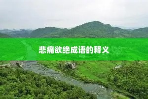 悲痛欲绝成语的释义