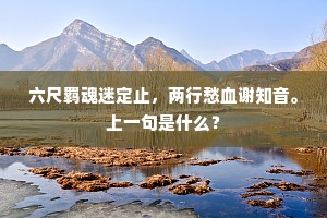 六尺羁魂迷定止，两行愁血谢知音。上一句是什么？