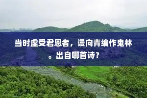 当时虚受君恩者，谩向青编作鬼林。出自哪首诗？