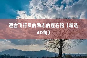 适合飞行员的励志的座右铭（精选40句）