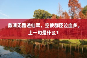 鼎湖无路追仙驾，空使群臣泣血多。上一句是什么？