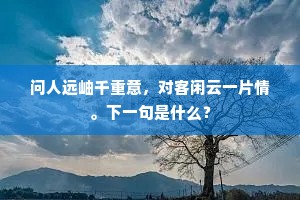 问人远岫千重意，对客闲云一片情。下一句是什么？