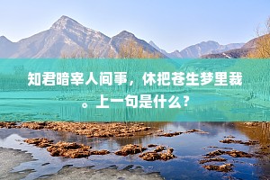 知君暗宰人间事，休把苍生梦里裁。上一句是什么？