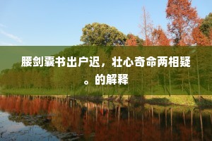 腰剑囊书出户迟，壮心奇命两相疑。的解释