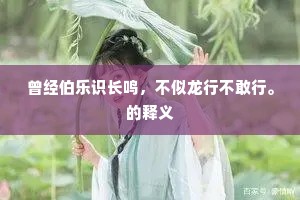 曾经伯乐识长鸣，不似龙行不敢行。的释义