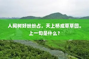 人间树好纷纷占，天上桥成草草回。上一句是什么？
