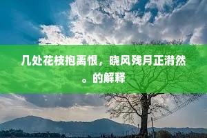 几处花枝抱离恨，晓风残月正潸然。的解释