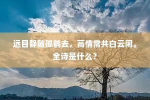 远目静随孤鹤去，高情常共白云闲。全诗是什么？