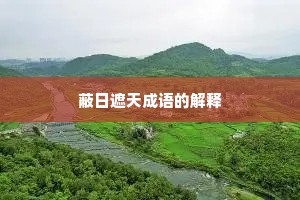 蔽日遮天成语的解释