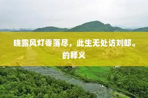 晓露风灯零落尽，此生无处访刘郎。的释义