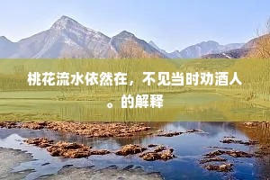 桃花流水依然在，不见当时劝酒人。的解释