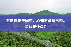 万树琪花千圃药，心知不敢辄形相。全诗是什么？