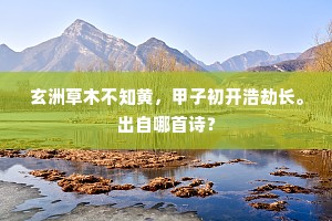 玄洲草木不知黄，甲子初开浩劫长。出自哪首诗？