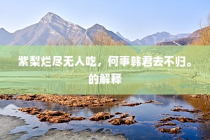 紫梨烂尽无人吃，何事韩君去不归。的解释