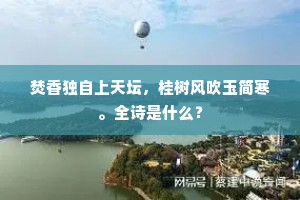 焚香独自上天坛，桂树风吹玉简寒。全诗是什么？