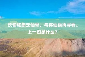 长怕嵇康乏仙骨，与将仙籍再寻看。上一句是什么？